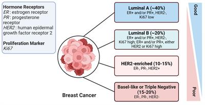 Harnessing the potential of long non-coding RNAs in breast cancer: from etiology to treatment resistance and clinical applications